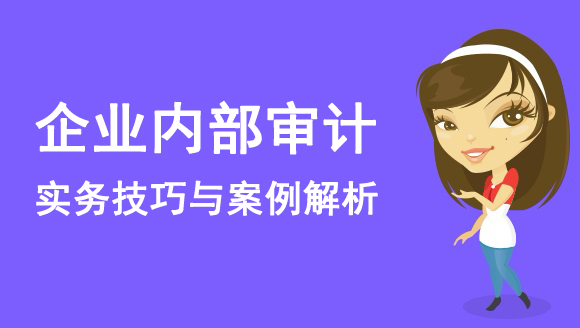 企业内部审计实务技巧与案例解析